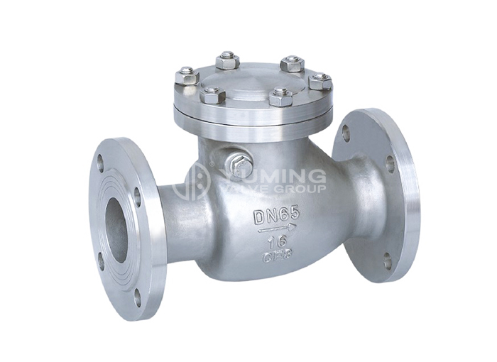 Swing Check Valve CF8