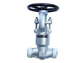 High-pressure self-sealing Globe valve F22