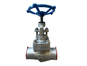 F304/F316 forged steel socket welding globe valve