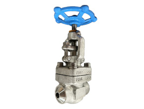 Butt welding F304 forged steel Globe Valve API 602