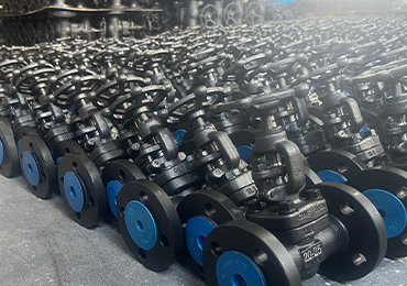 Differences between Forged Steel Valves and Cast Steel Valves