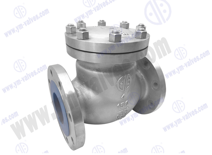 Ansi Swing Flange Check Valve Ss Wcb