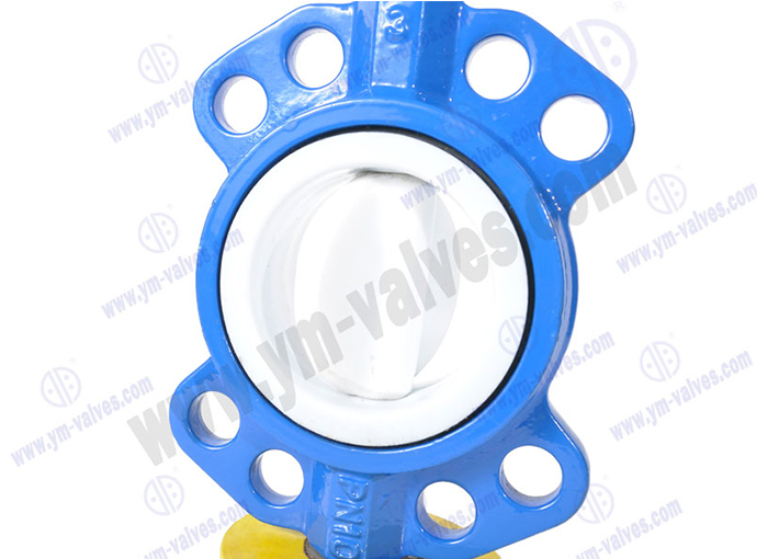 PTFE Wafer Butterfly Valve