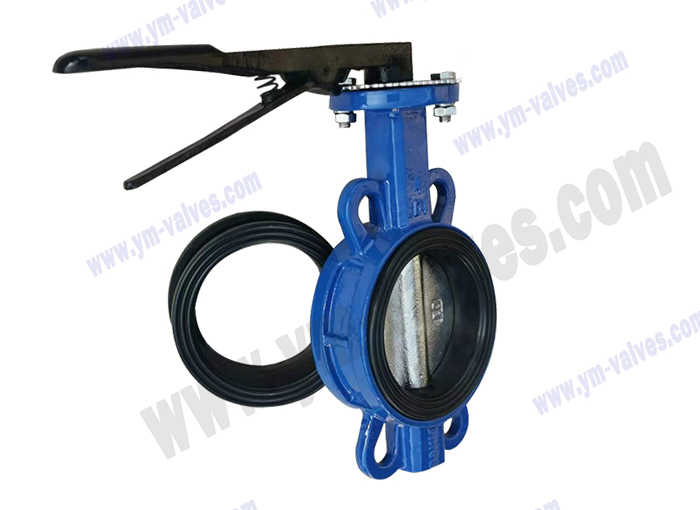 Wafer soft seal butterfly valve