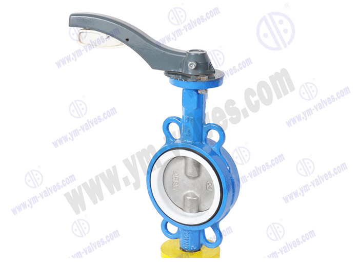 Wafer type butterfly valve double stem