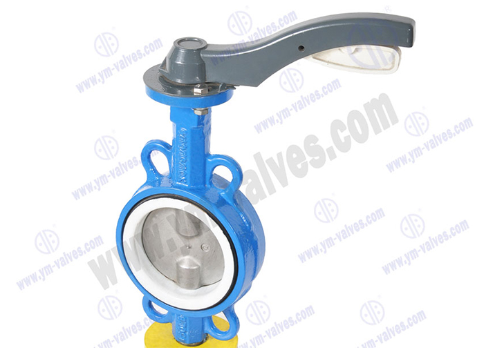 Wafer type butterfly valve double stem