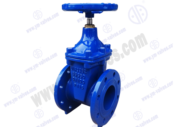 Resilient Soft Seal gate valves