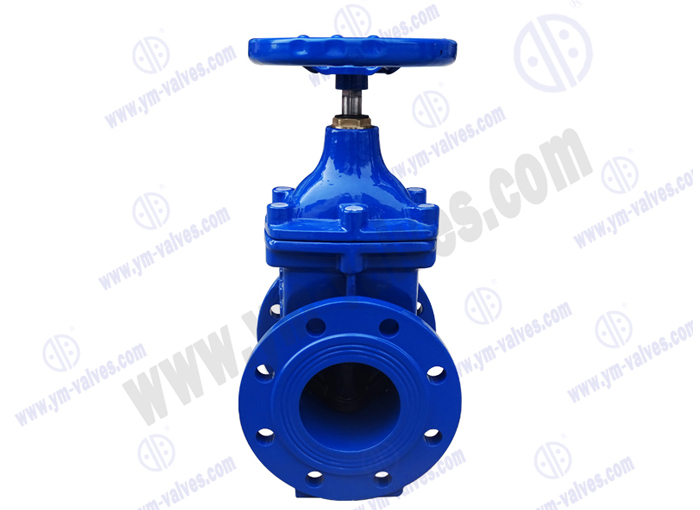 Resilient Soft Seal gate valves