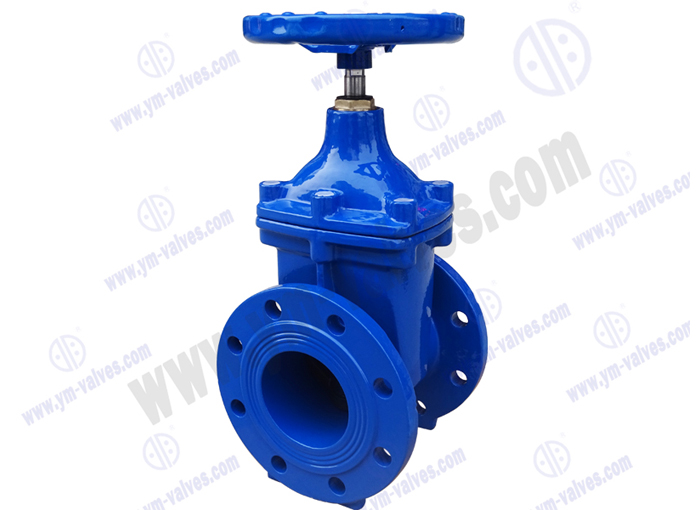 Resilient Soft Seal gate valves