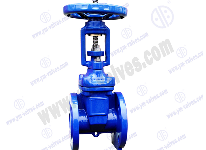 Soft Seal flange gate valve