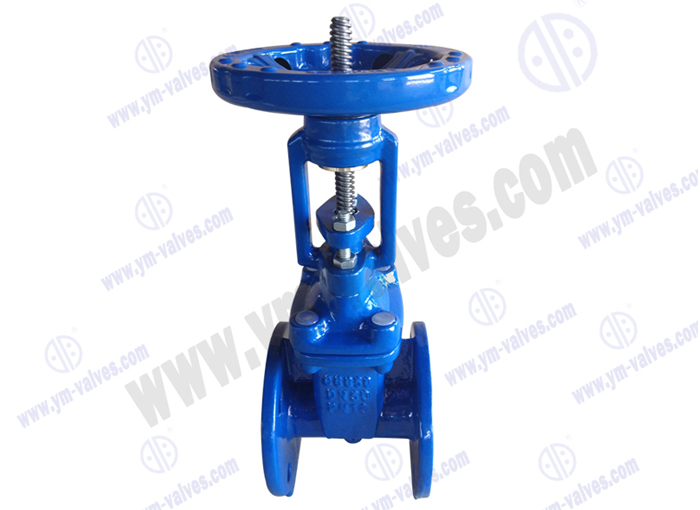 Soft Seal flange gate valve